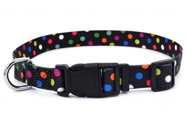 Quality Pet collar leash and harness for small medium dog