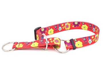China Pet collar  leash and harness for small medium dogs