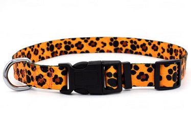 Beautiful quality collar leash and harness for small medium dog
