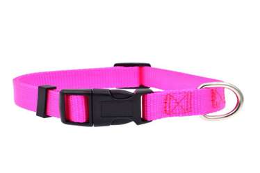 Pet collar  leash and harness separately matching