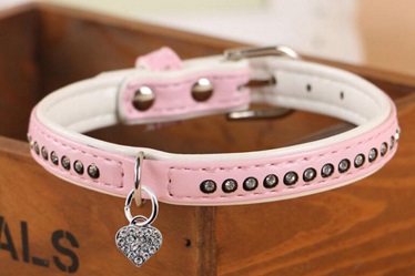 Classical leather dog collars leashes/pet supply