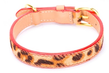 horse hair classical pet dog collars leashes/pet products