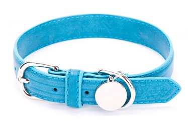 Four colors protrusion Real leather dog collars leashes/pet products