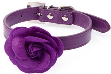 Rose-leather dog cat collars for small medium dog cat/pet products