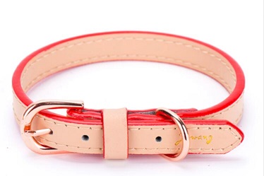 New design-Classical quality pet collars leash/dog collar