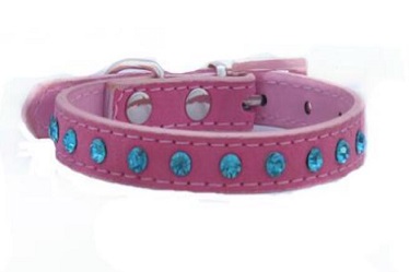Diamond pet collars for small medium dog/quality pet products