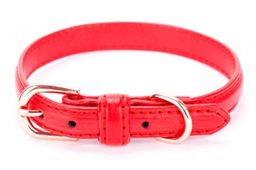 Four colors protrusion Real leather dog collars leashes/pet products