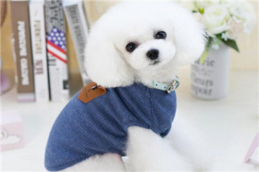 Comfort pet vest for summer /dog clothes pet products