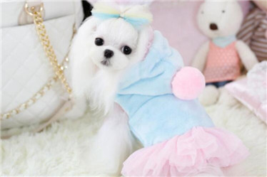 Pet Products/ Pet Fleece Skirt/Dog Winter Clothes