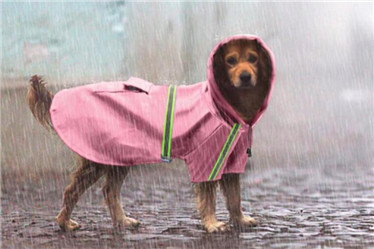 dog reflective raincoat/pet raincoat dog clothes in raining