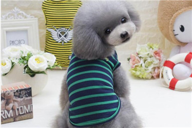 Classical Stripe Pet T-Shirt /Pet Dog Clothes for summer