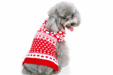 Rhombus pet sweaters dog products clothes