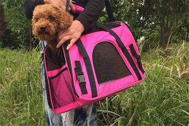 soft sided pet travelling carrier bag
