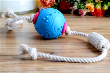 Durable dog rope toys with blue TPR ball
