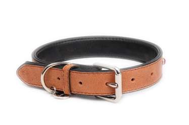 Genuine leather dog collars pet collars,pet products