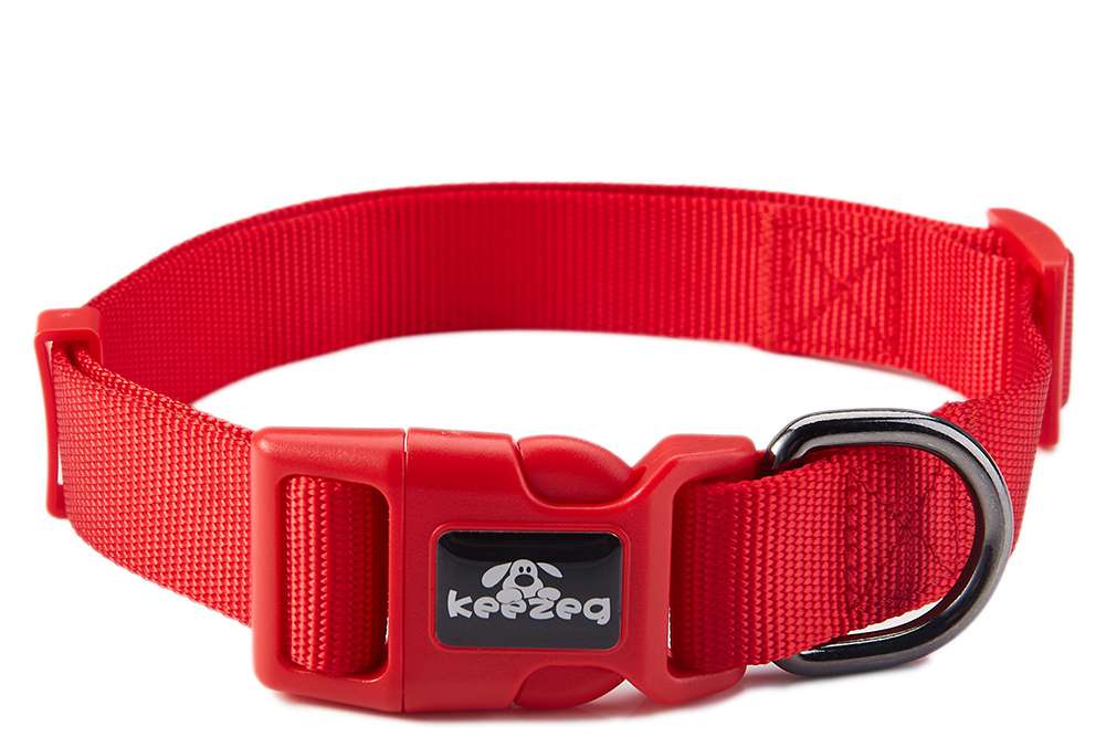 pet collars and leashes