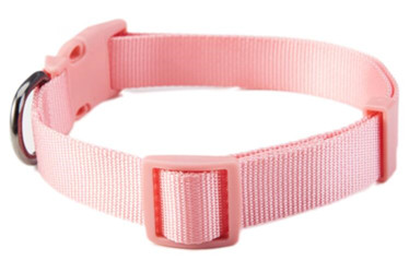 quality pet training Nylon collars leashes/dog products