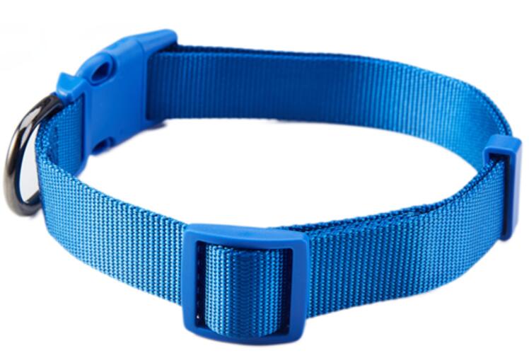 Blue dog cat Nylon collars &harness,leashes/pet products