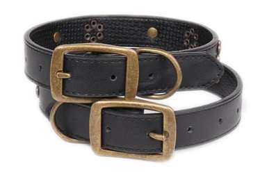 Ginkgo classical dog collars for medium large pets
