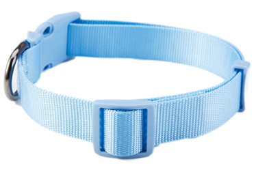 Comfort Nylon pet collars,leashes/pet accessories