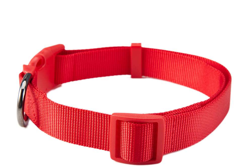 Red classic solid Nylon dog collars leashes/pet supplies