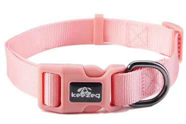 quality pet training Nylon collars leashes/dog products